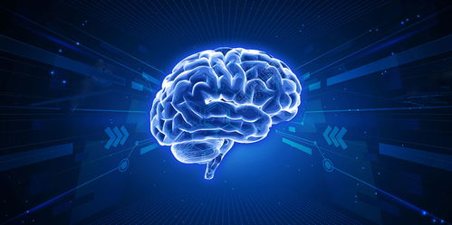 區(qū)塊鏈技術(shù) 從開(kāi)發(fā)到應(yīng)用的完整解決方案與技術(shù)服務(wù)